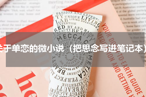 关于单恋的微小说（把思念写进笔记本）