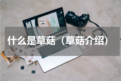 什么是草菇（草菇介绍）