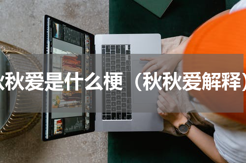 秋秋爱是什么梗（秋秋爱解释）
