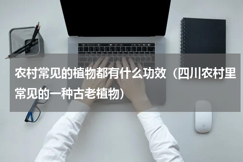 农村常见的植物都有什么功效（四川农村里常见的一种古老植物）