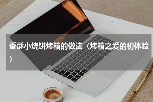 香酥小烧饼烤箱的做法（烤箱之爱的初体验）