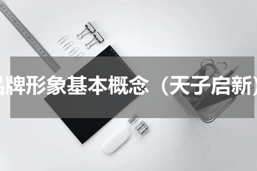 品牌形象基本概念（天子启新）