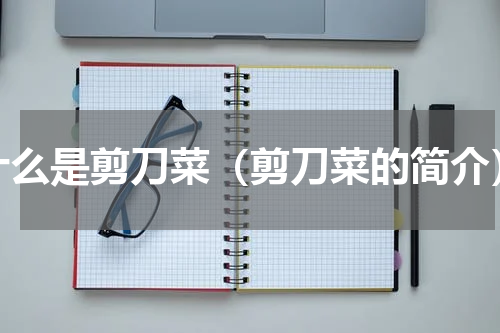 什么是剪刀菜（剪刀菜的简介）