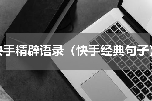 快手精辟语录（快手经典句子）