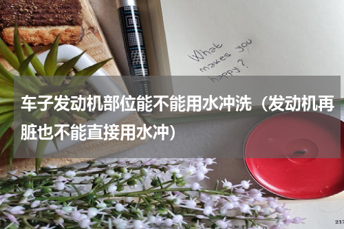 车子发动机部位能不能用水冲洗（发动机再脏也不能直接用水冲）