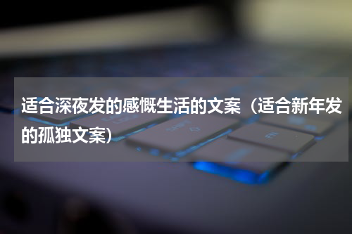 适合深夜发的感慨生活的文案（适合新年发的孤独文案）