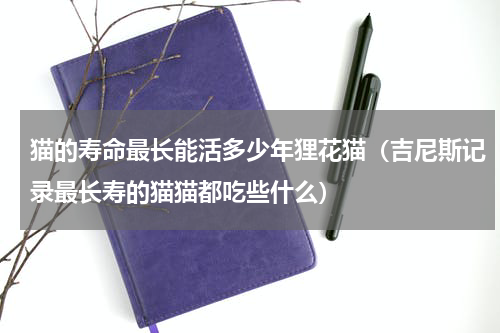 猫的寿命最长能活多少年狸花猫（吉尼斯记录最长寿的猫猫都吃些什么）