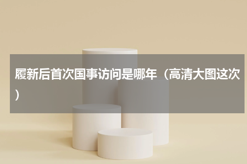 履新后首次国事访问是哪年（高清大图这次）