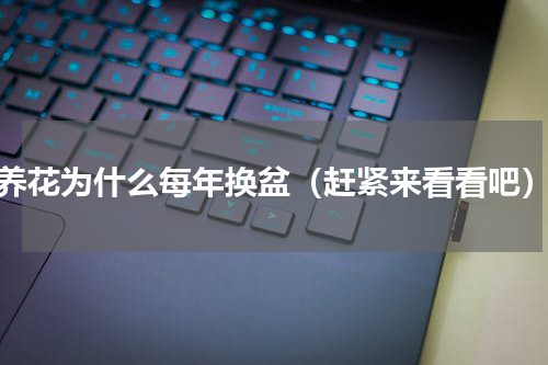 养花为什么每年换盆（赶紧来看看吧）