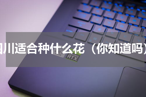 四川适合种什么花（你知道吗）