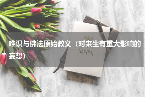 唯识与佛法原始教义（对来生有重大影响的妄想）