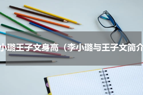李小璐王子文身高（李小璐与王子文简介）