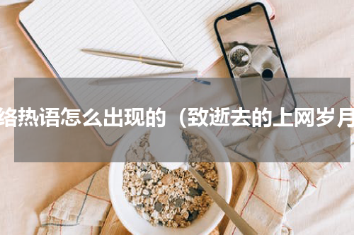 网络热语怎么出现的（致逝去的上网岁月）