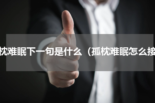 孤枕难眠下一句是什么（孤枕难眠怎么接）