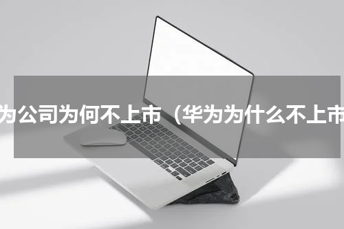 华为公司为何不上市（华为为什么不上市）