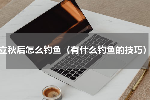 立秋后怎么钓鱼（有什么钓鱼的技巧）