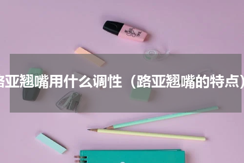 路亚翘嘴用什么调性（路亚翘嘴的特点）