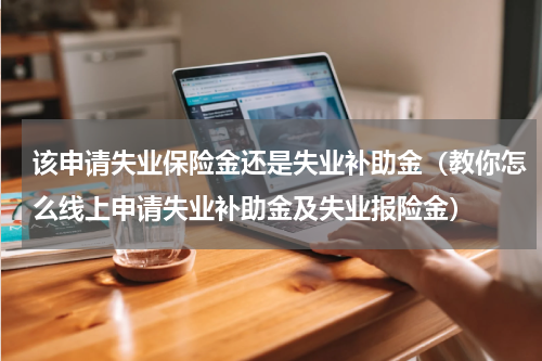 该申请失业保险金还是失业补助金（教你怎么线上申请失业补助金及失业报险金）