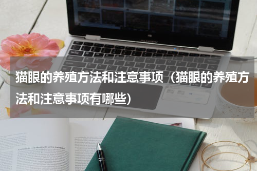 猫眼的养殖方法和注意事项（猫眼的养殖方法和注意事项有哪些）