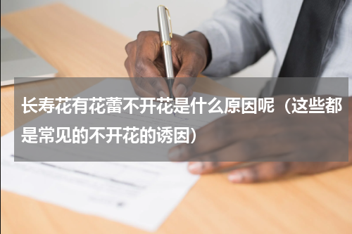 长寿花有花蕾不开花是什么原因呢（这些都是常见的不开花的诱因）