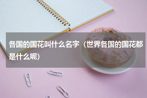 各国的国花叫什么名字（世界各国的国花都是什么呢）