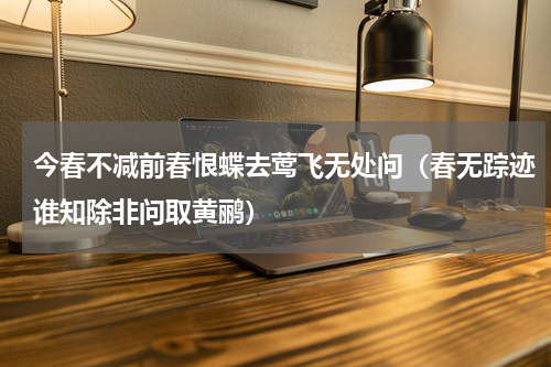 今春不减前春恨蝶去莺飞无处问（春无踪迹谁知除非问取黄鹂）
