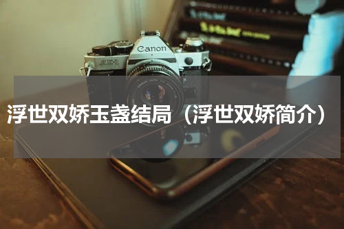 浮世双娇玉盏结局（浮世双娇简介）