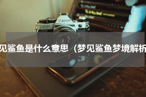 梦见鲨鱼是什么意思（梦见鲨鱼梦境解析）