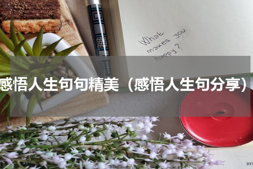 感悟人生句句精美（感悟人生句分享）