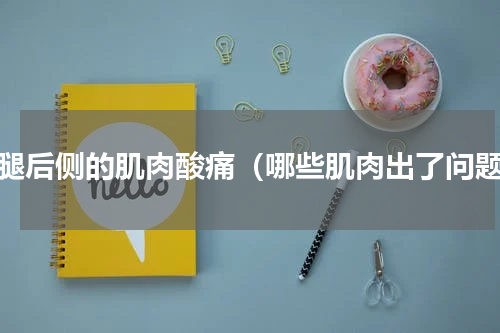 大腿后侧的肌肉酸痛（哪些肌肉出了问题）