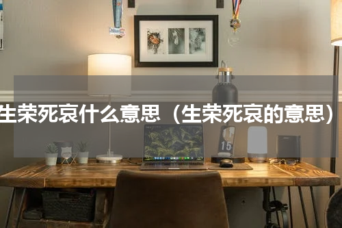 生荣死哀什么意思（生荣死哀的意思）