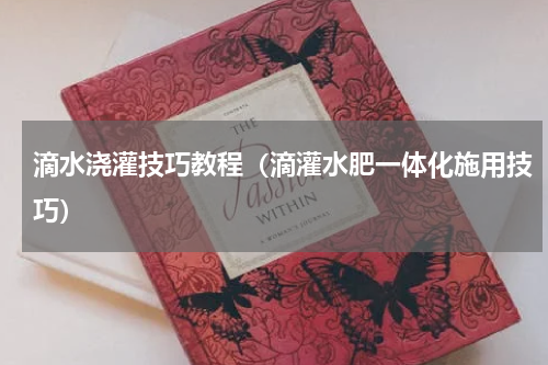 滴水浇灌技巧教程（滴灌水肥一体化施用技巧）