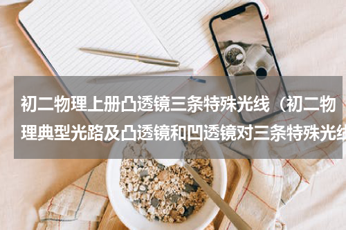 初二物理上册凸透镜三条特殊光线（初二物理典型光路及凸透镜和凹透镜对三条特殊光线的作用）
