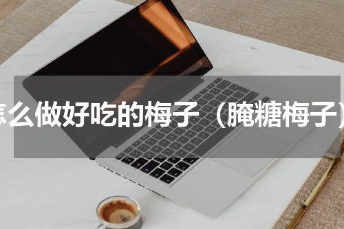 怎么做好吃的梅子（腌糖梅子）