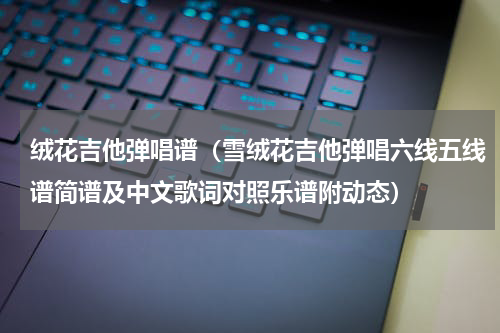绒花吉他弹唱谱（雪绒花吉他弹唱六线五线谱简谱及中文歌词对照乐谱附动态）