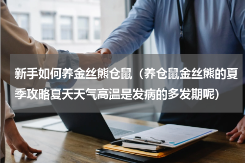 新手如何养金丝熊仓鼠（养仓鼠金丝熊的夏季攻略夏天天气高温是发病的多发期呢）
