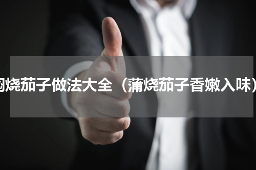 焖烧茄子做法大全（蒲烧茄子香嫩入味）