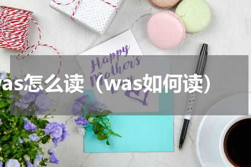 was怎么读（was如何读）