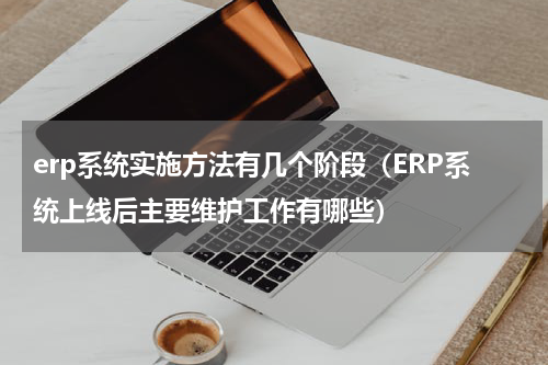 erp系统实施方法有几个阶段（ERP系统上线后主要维护工作有哪些）