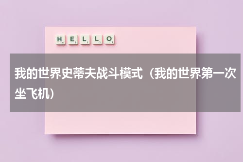 我的世界史蒂夫战斗模式（我的世界第一次坐飞机）