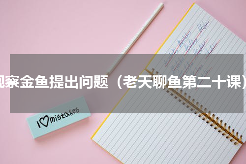 观察金鱼提出问题（老天聊鱼第二十课）