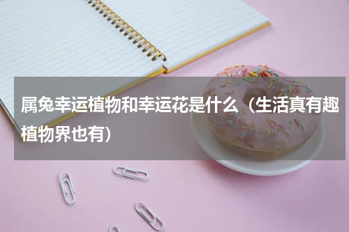 属兔幸运植物和幸运花是什么（生活真有趣植物界也有）