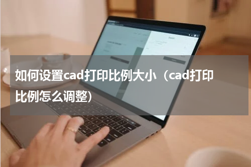 如何设置cad打印比例大小（cad打印比例怎么调整）