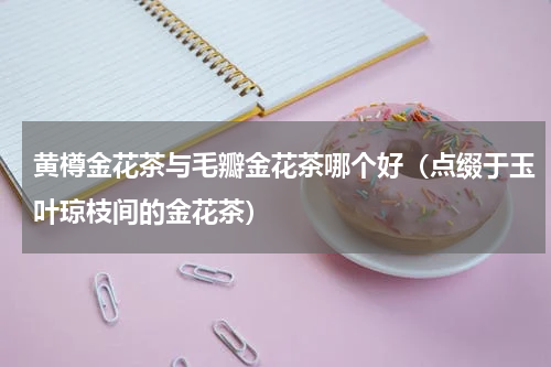 黄樽金花茶与毛瓣金花茶哪个好（点缀于玉叶琼枝间的金花茶）