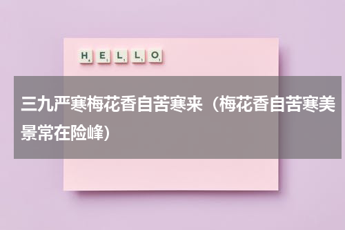 三九严寒梅花香自苦寒来（梅花香自苦寒美景常在险峰）