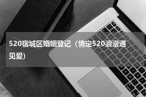 520宿城区婚姻登记（情定520浪漫遇见爱）