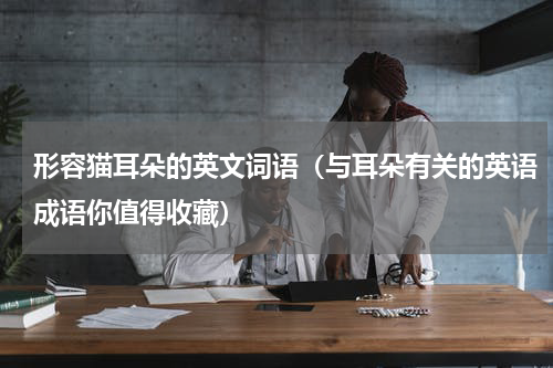 形容猫耳朵的英文词语（与耳朵有关的英语成语你值得收藏）