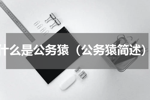 什么是公务猿（公务猿简述）
