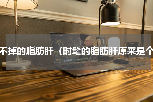 甩不掉的脂肪肝（时髦的脂肪肝原来是个）