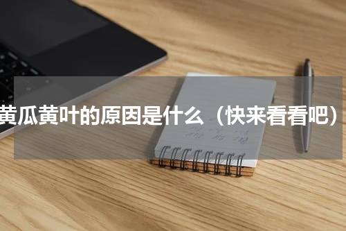 黄瓜黄叶的原因是什么（快来看看吧）